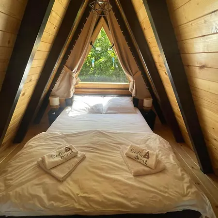 Dedin Borak 度假居