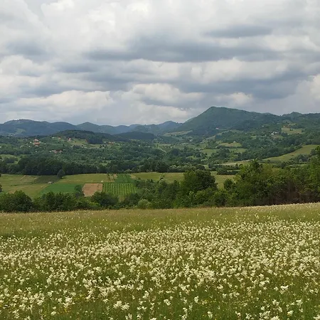 Дом отдыха Dedin Borak Drenovci