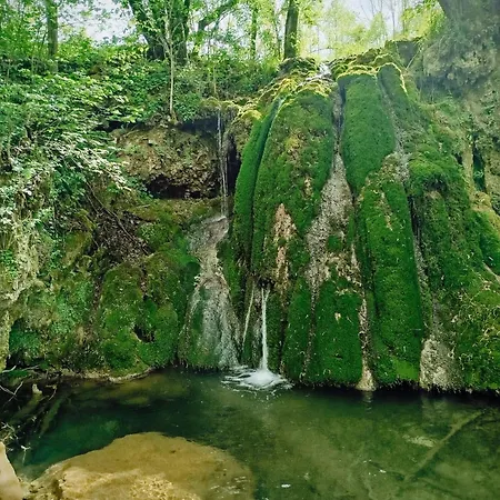 度假居 Dedin Borak Drenovci