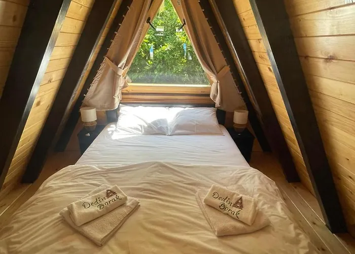 Dedin Borak Дом отдыха