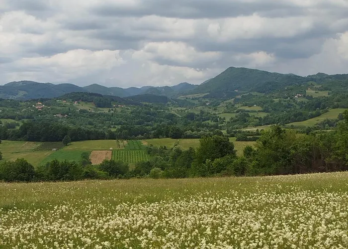 Дом отдыха Dedin Borak Drenovci