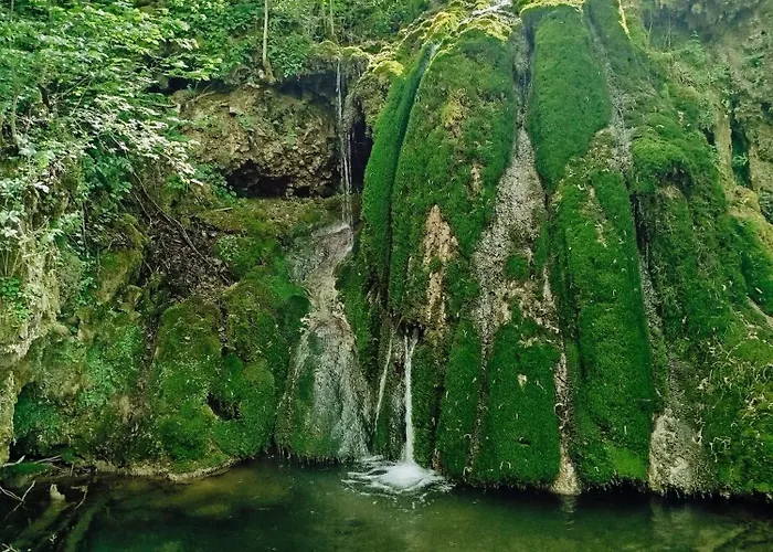 Дом отдыха Dedin Borak Drenovci